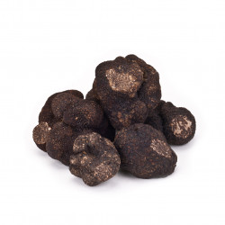 Truffes TUBER MELANOSPORUM...