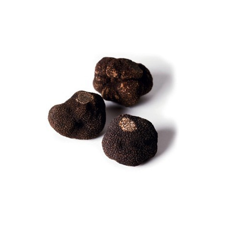 Truffes TUBER MELANOSPORUM EXTRA