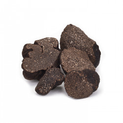 Truffes TUBER MELANOSPORUM...