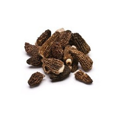 Morilles fraîches